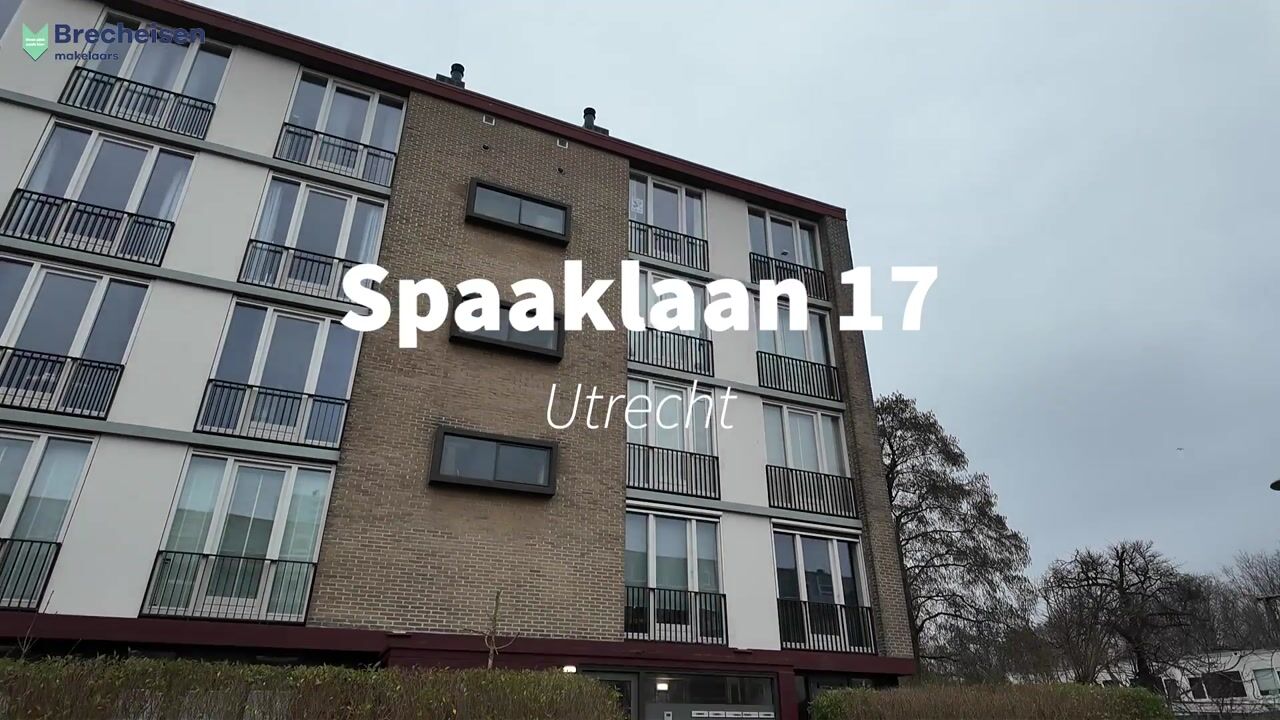 Video van Spaaklaan 17