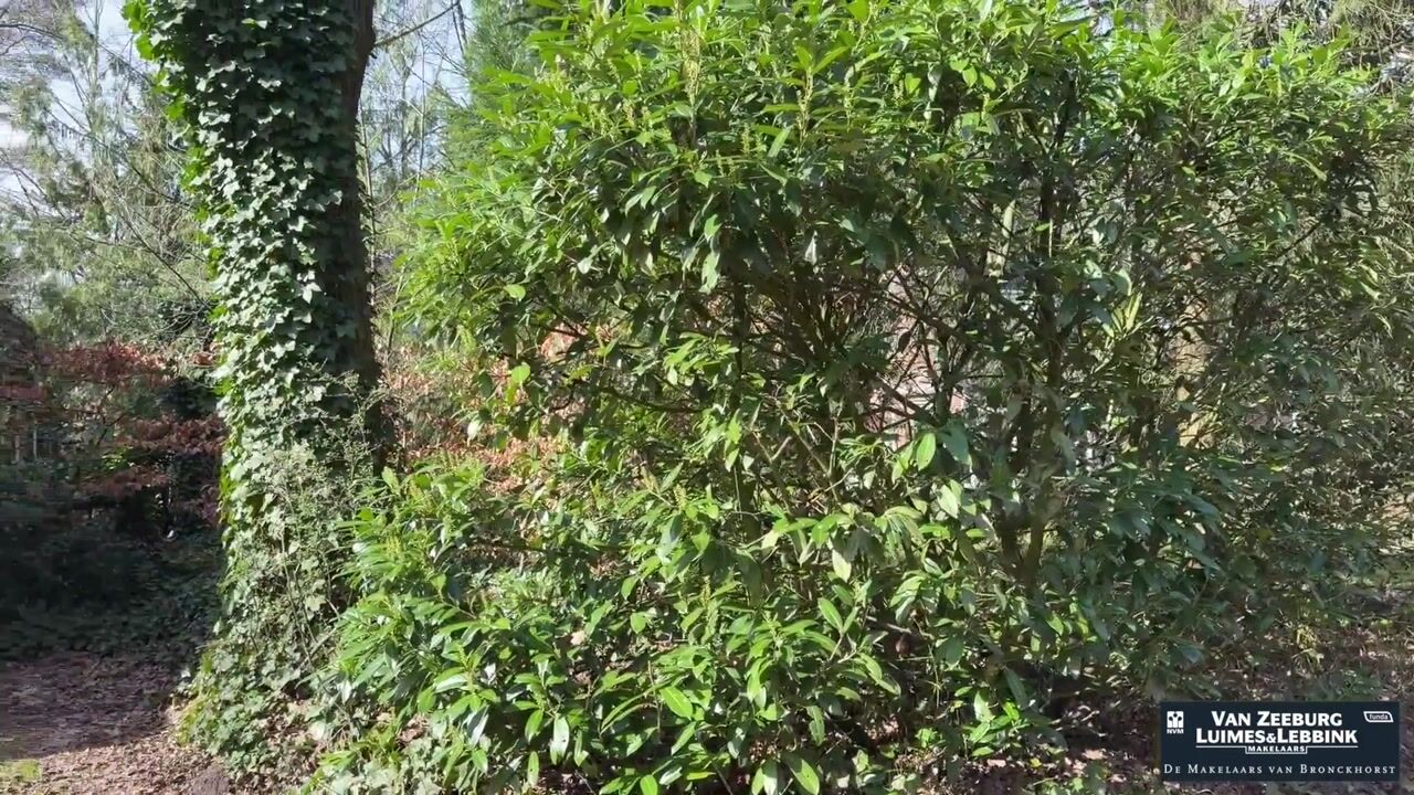 Video of Ruurloseweg 30-V86