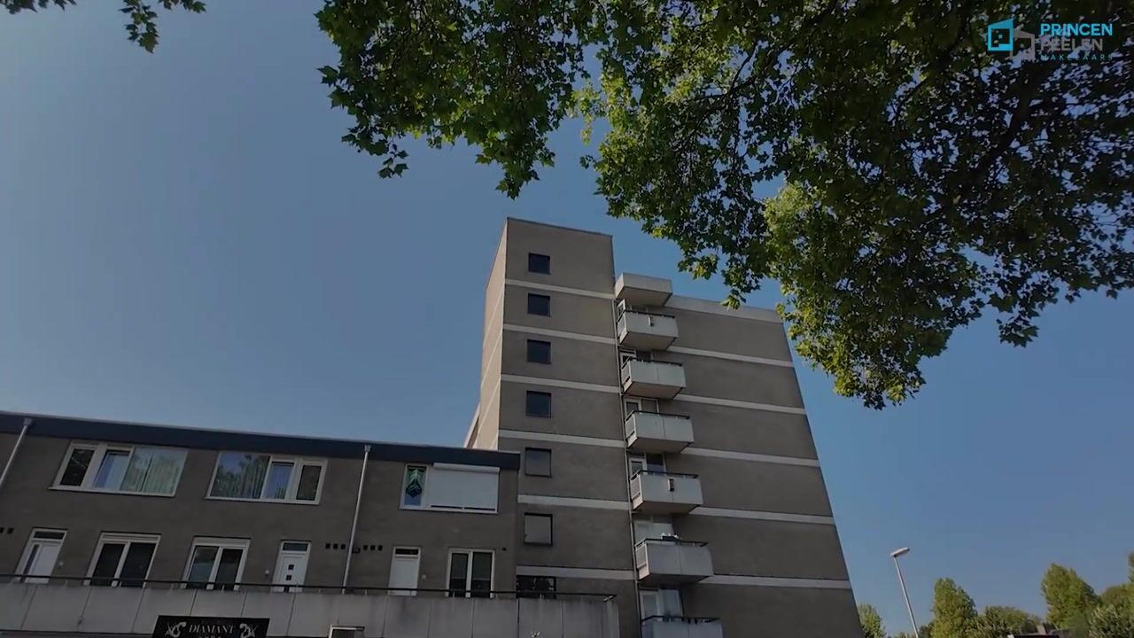 Video van Wijnpeerstraat 41