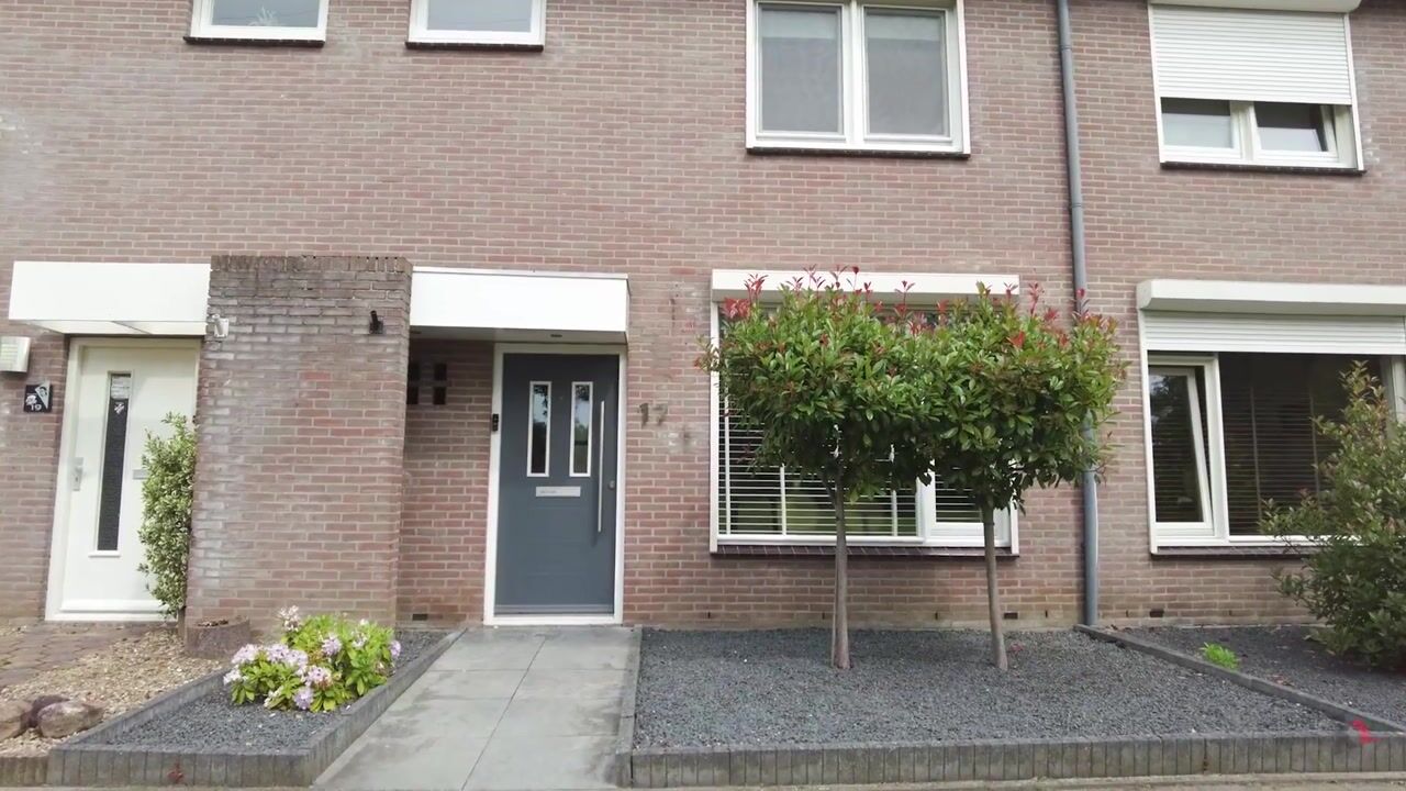 Video van Meerval 17