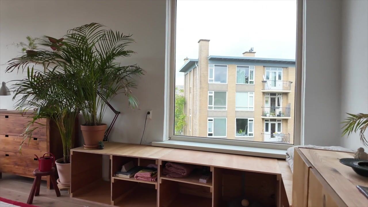Video van Tolsteegplantsoen 53-2