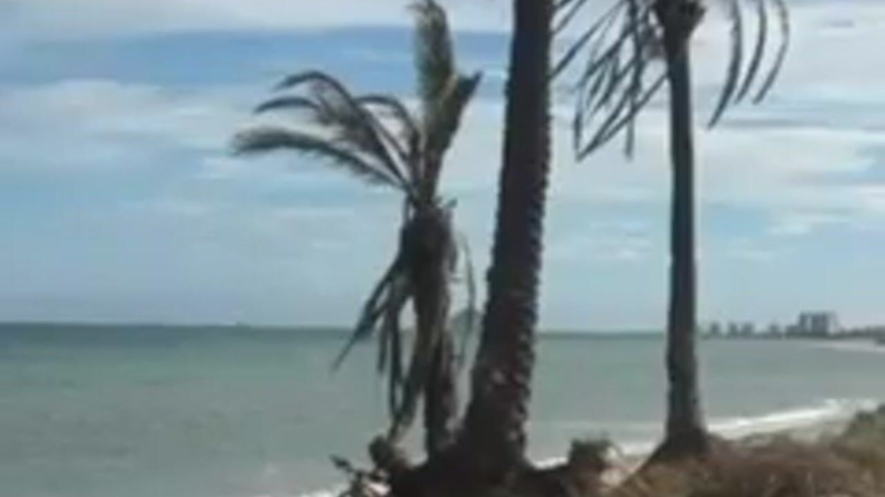 Video van Calle Almadraba