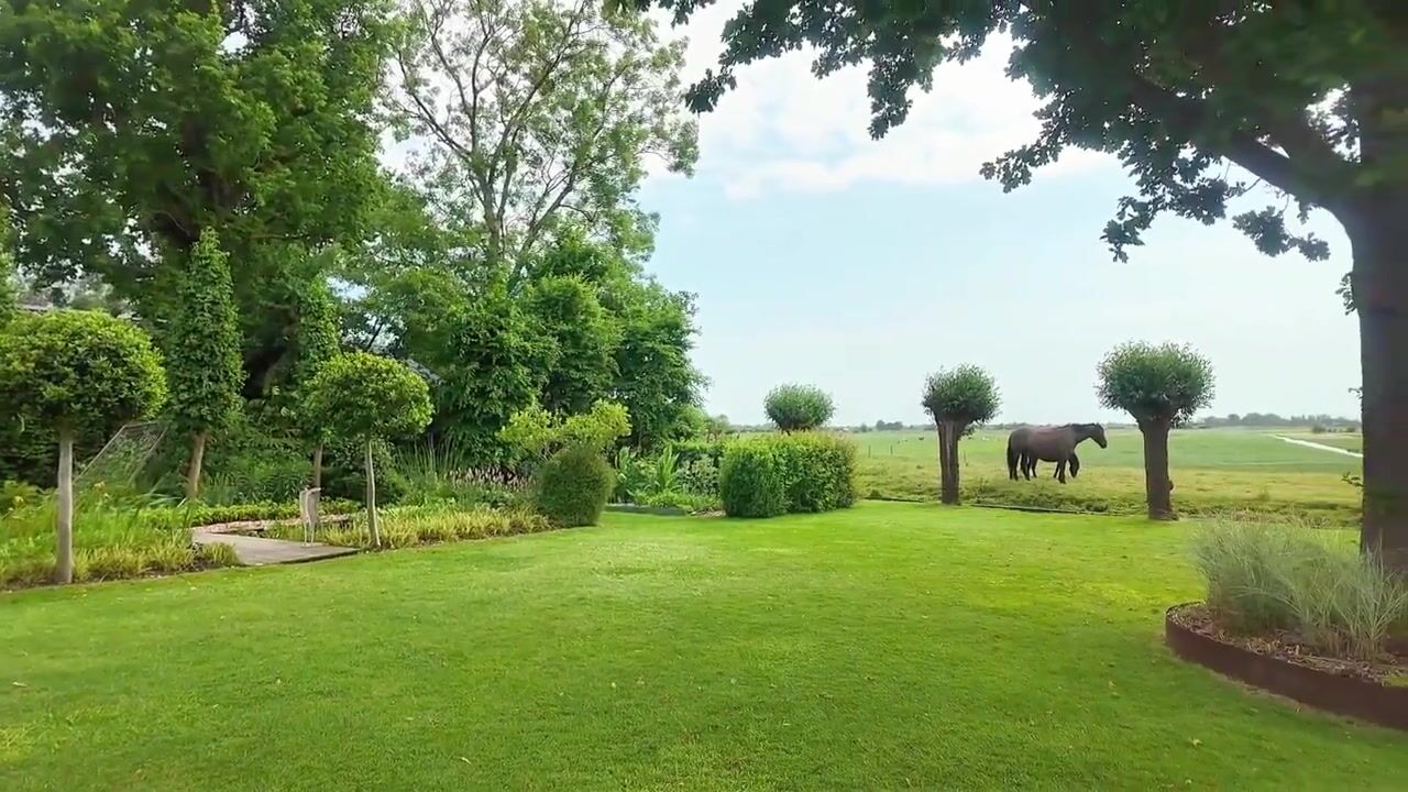 Video van Noordeinde 86