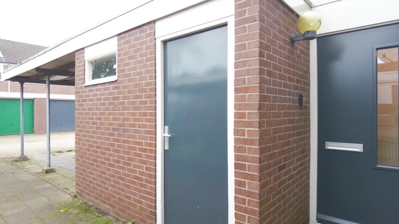 Video of Ganzepeppel 45