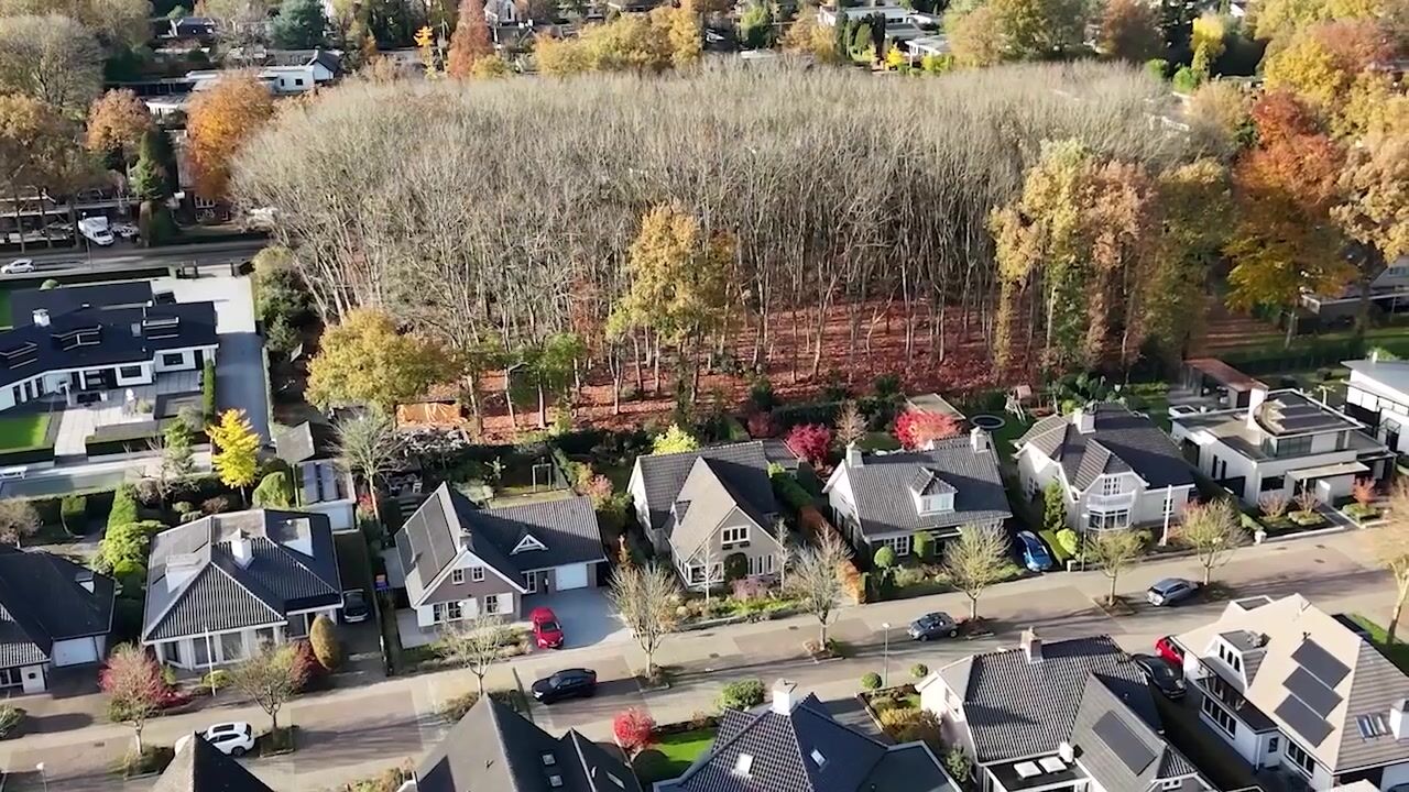 Video van Veenmos 10