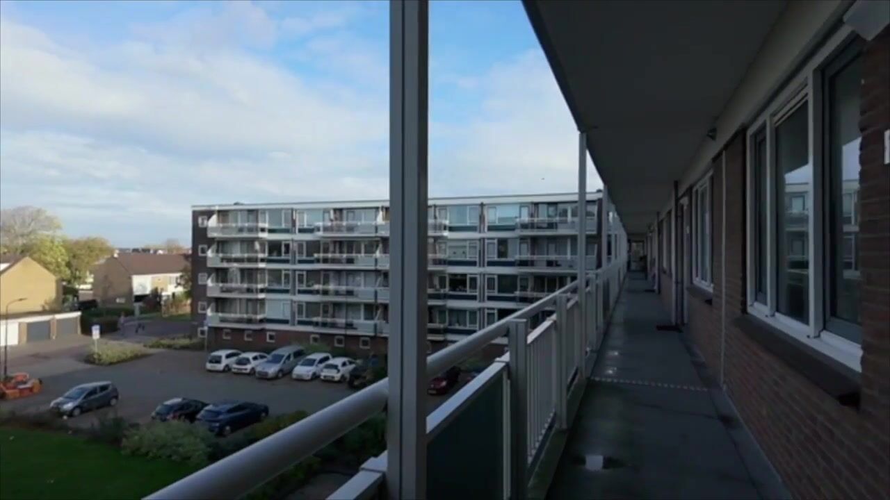 Video van Laan van Blois 123