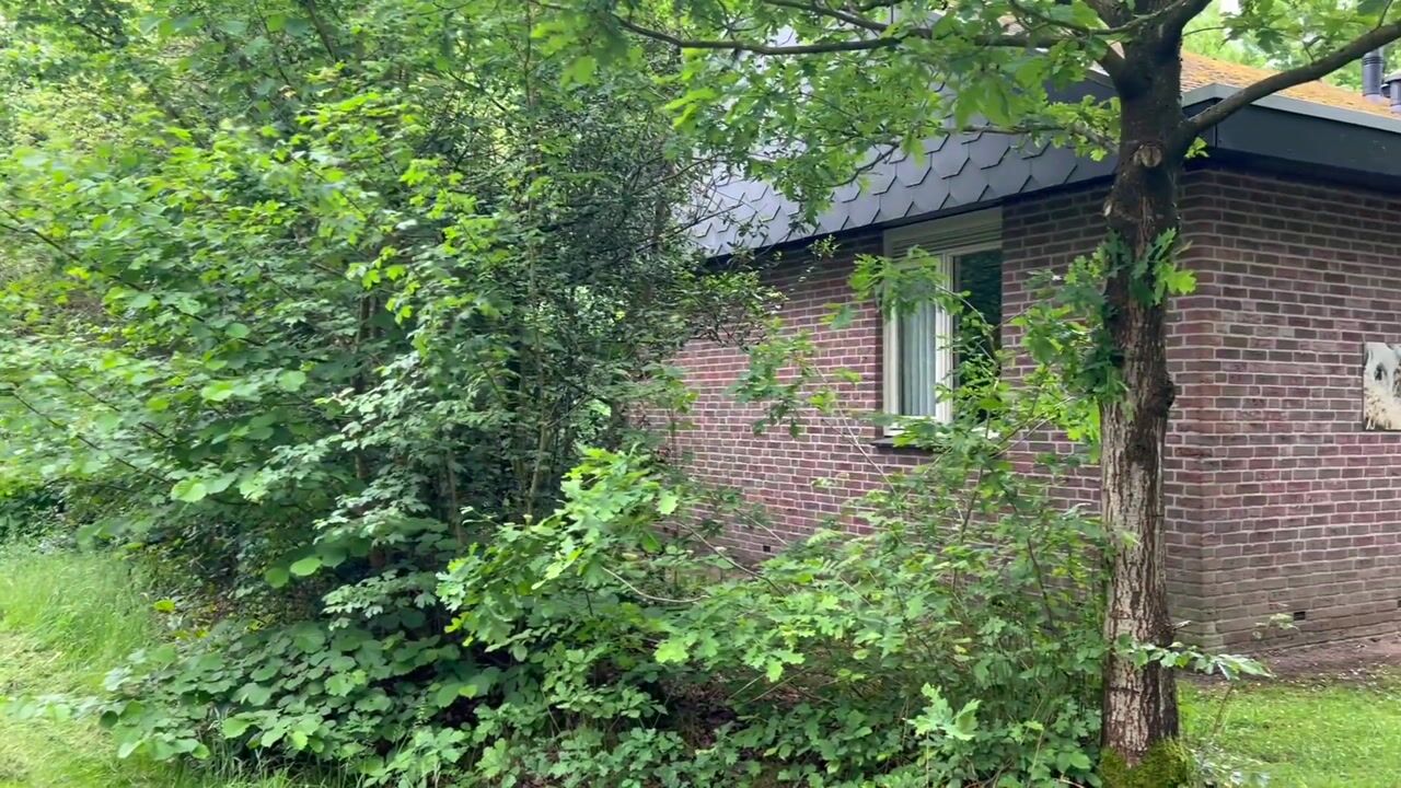 Video of Aelderholt 1-136