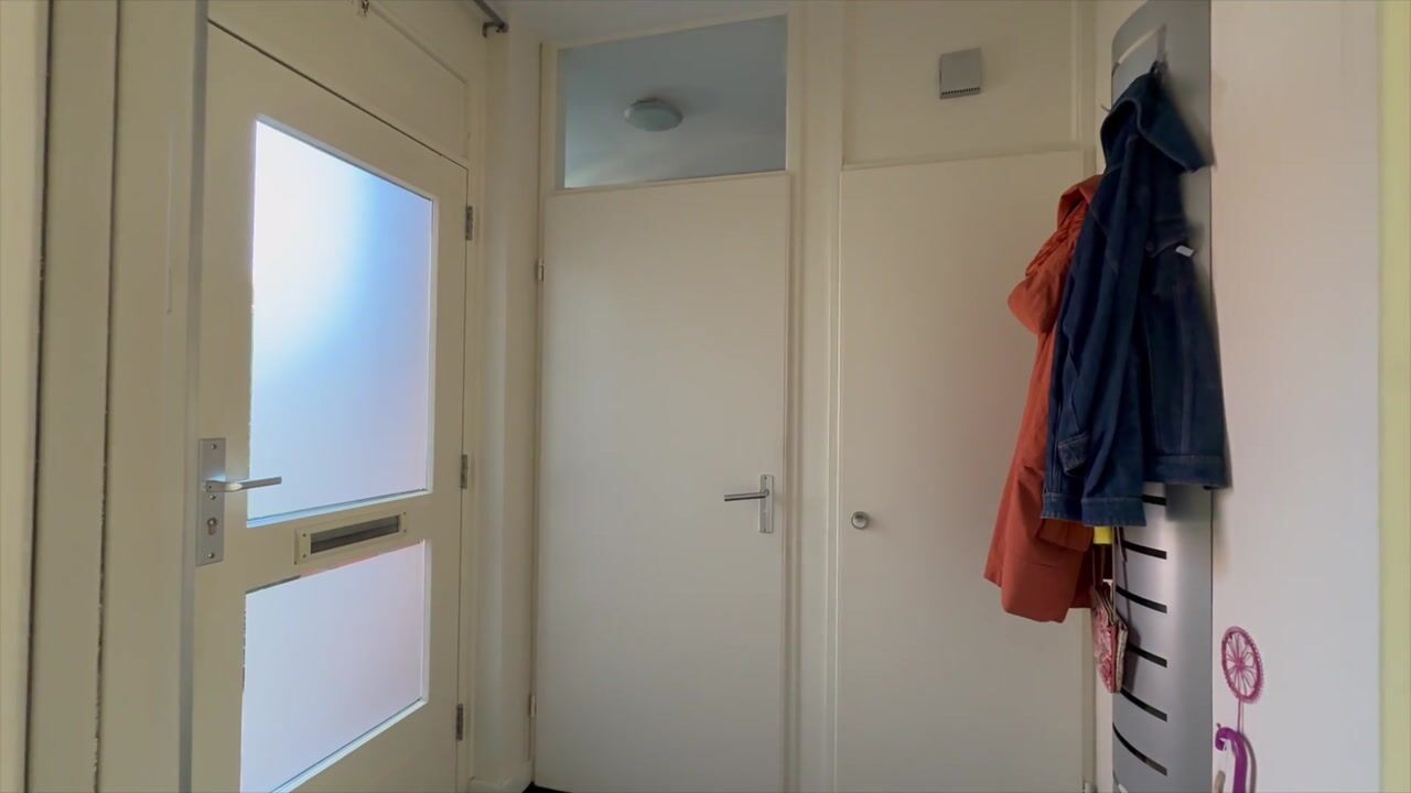 Video van Leeuwerik 35