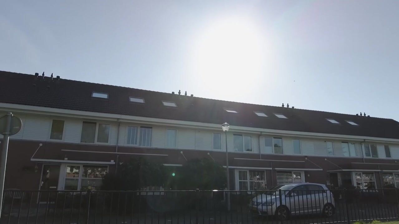 Video van Paganiniplantsoen 47