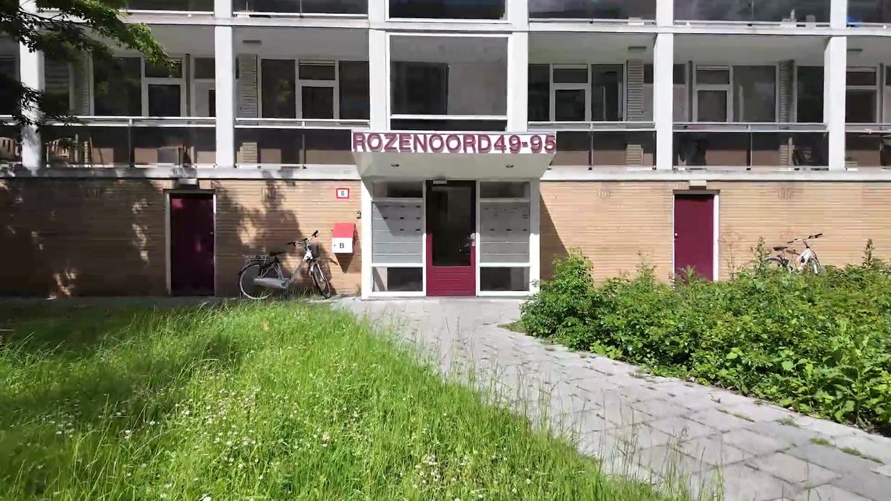 Video van Rozenoord 91