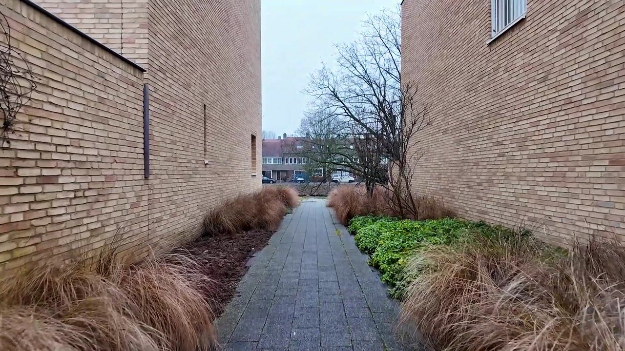 Video van Engelse Park 71