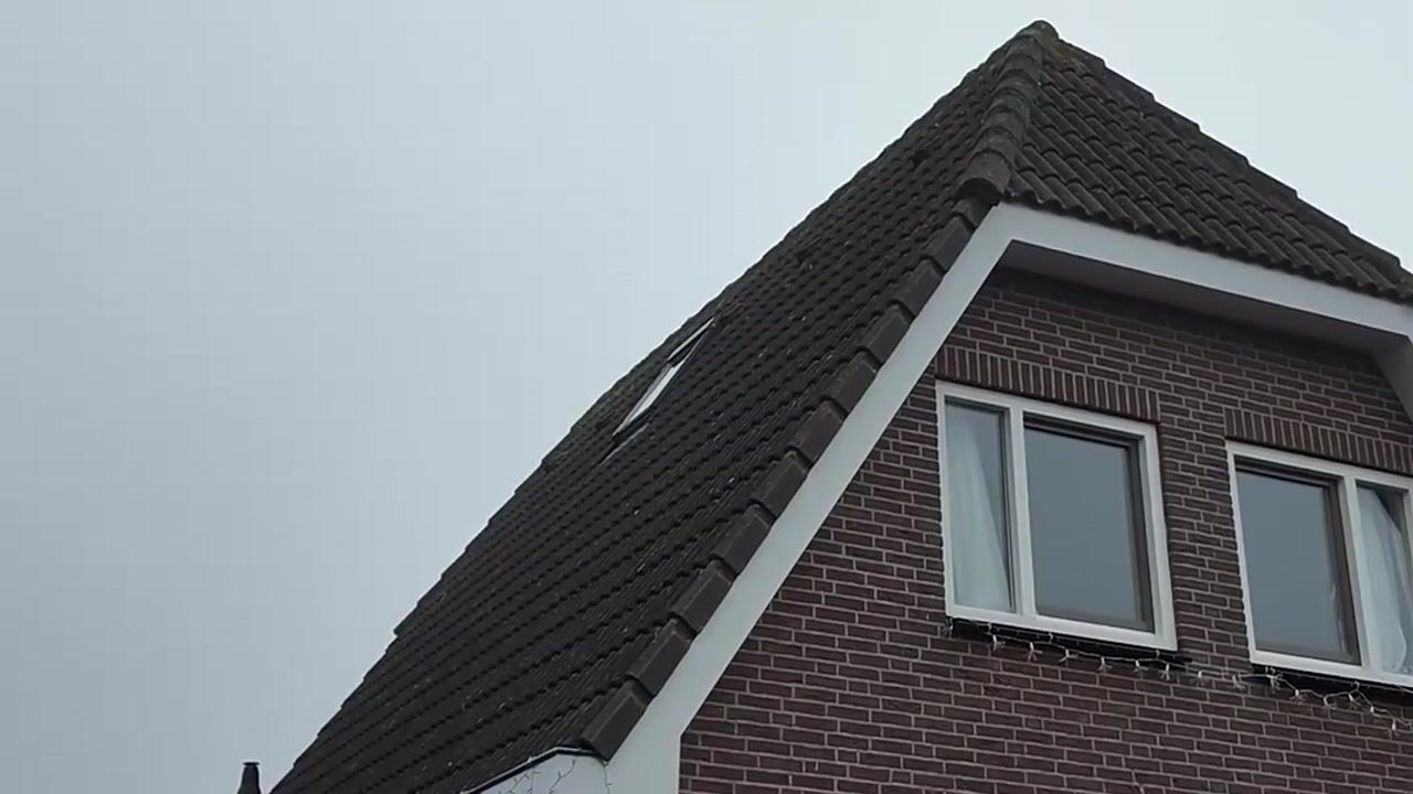 Video van Lepelaarstraat 23