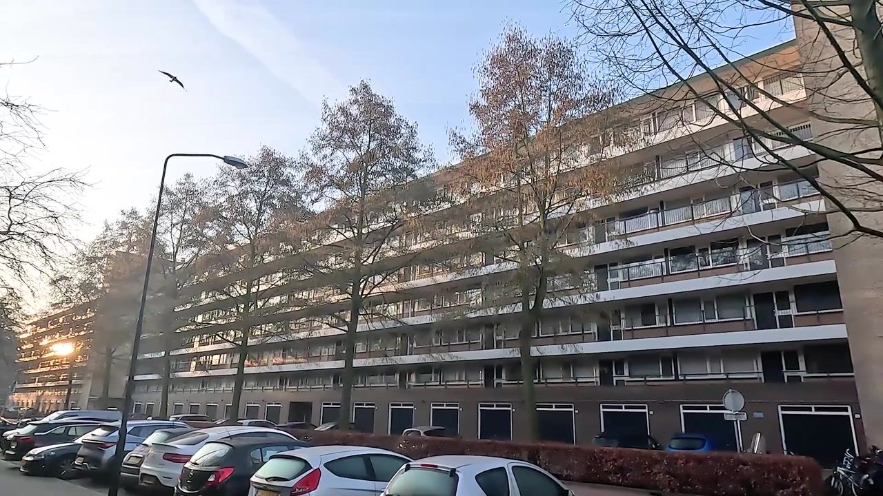 Video van Prinses Annalaan 224