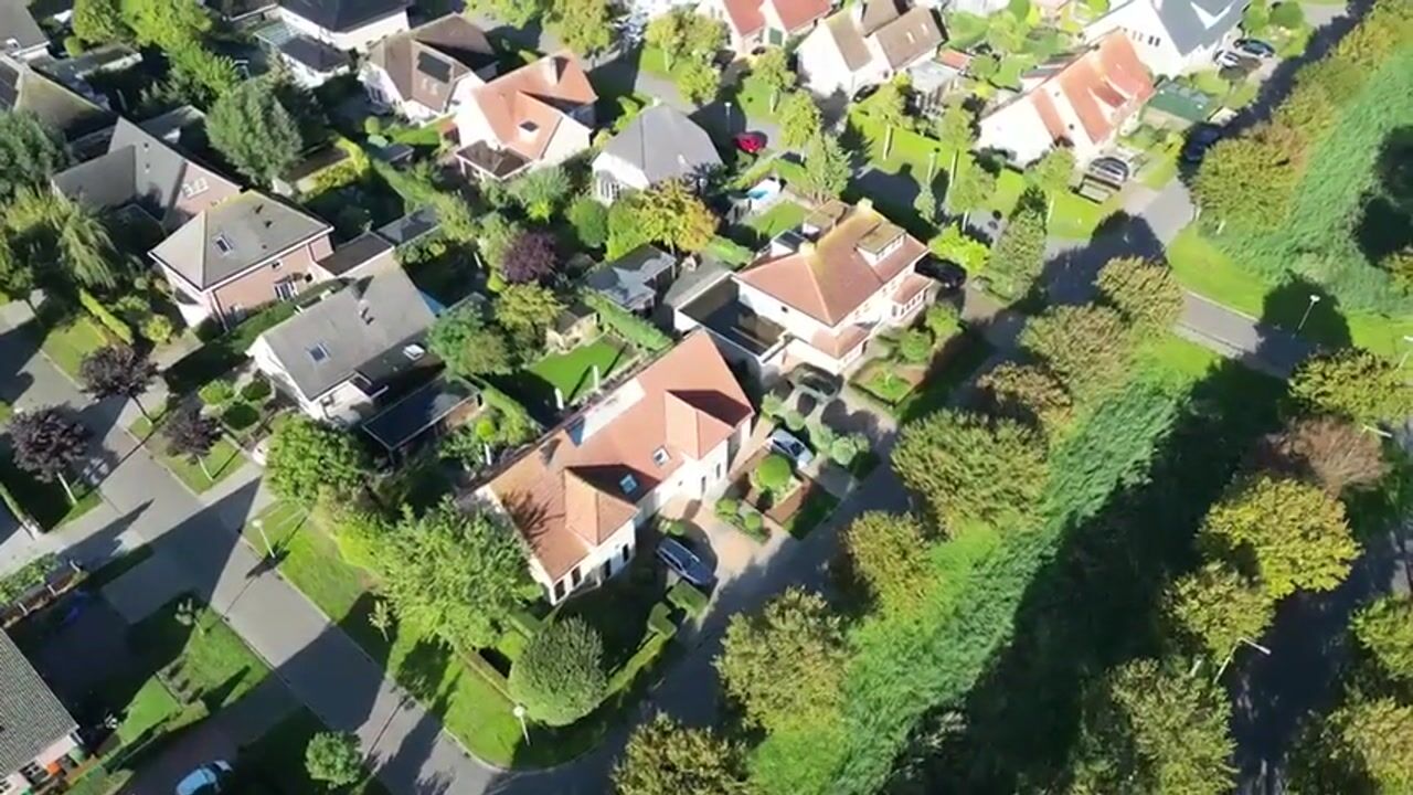 Video van Schorrenkruid 6