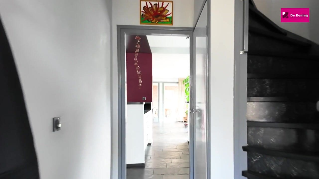 Video van Meidoornstraat 17