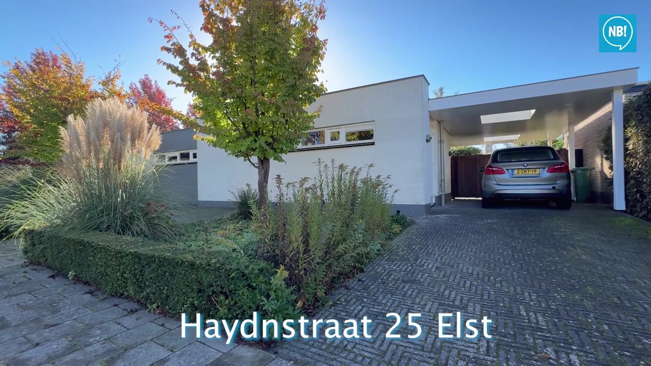 Video of Haydnstraat 25