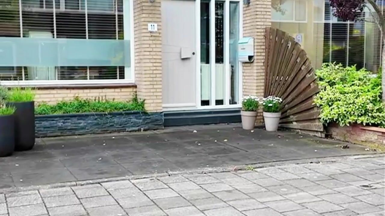 Video van Ravelstraat 11