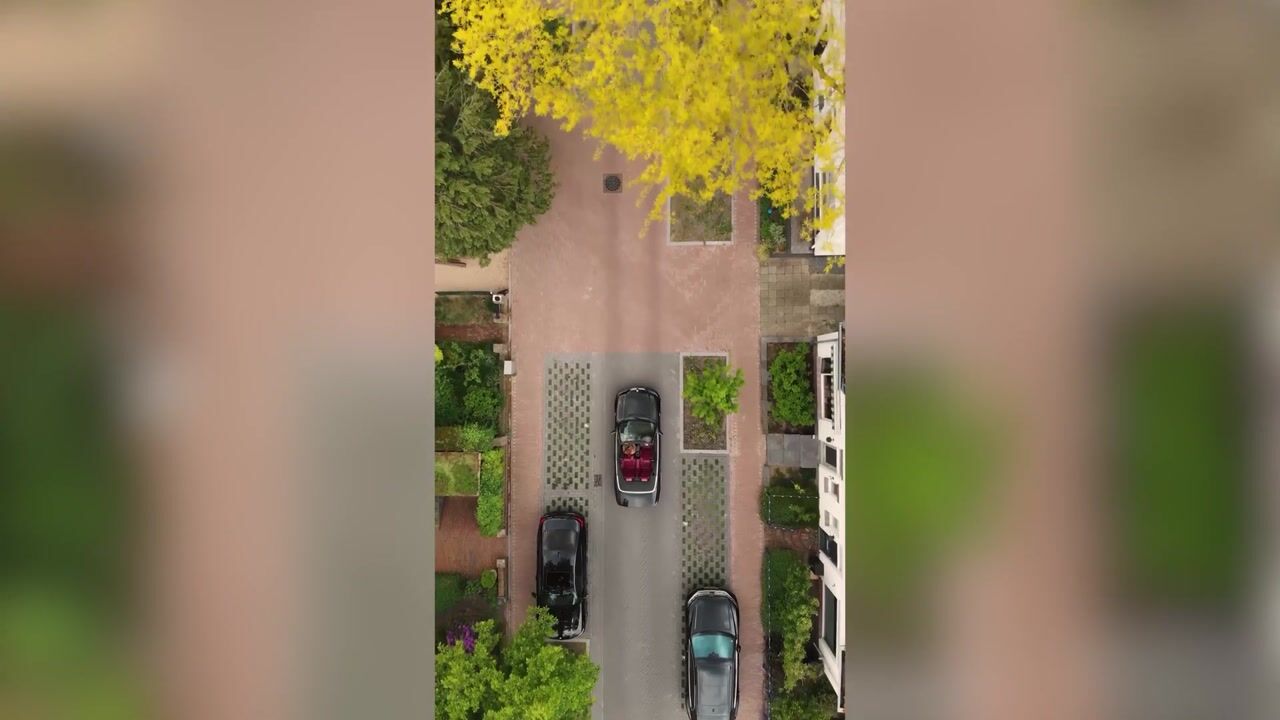 Video van Bruine Engseweg 20