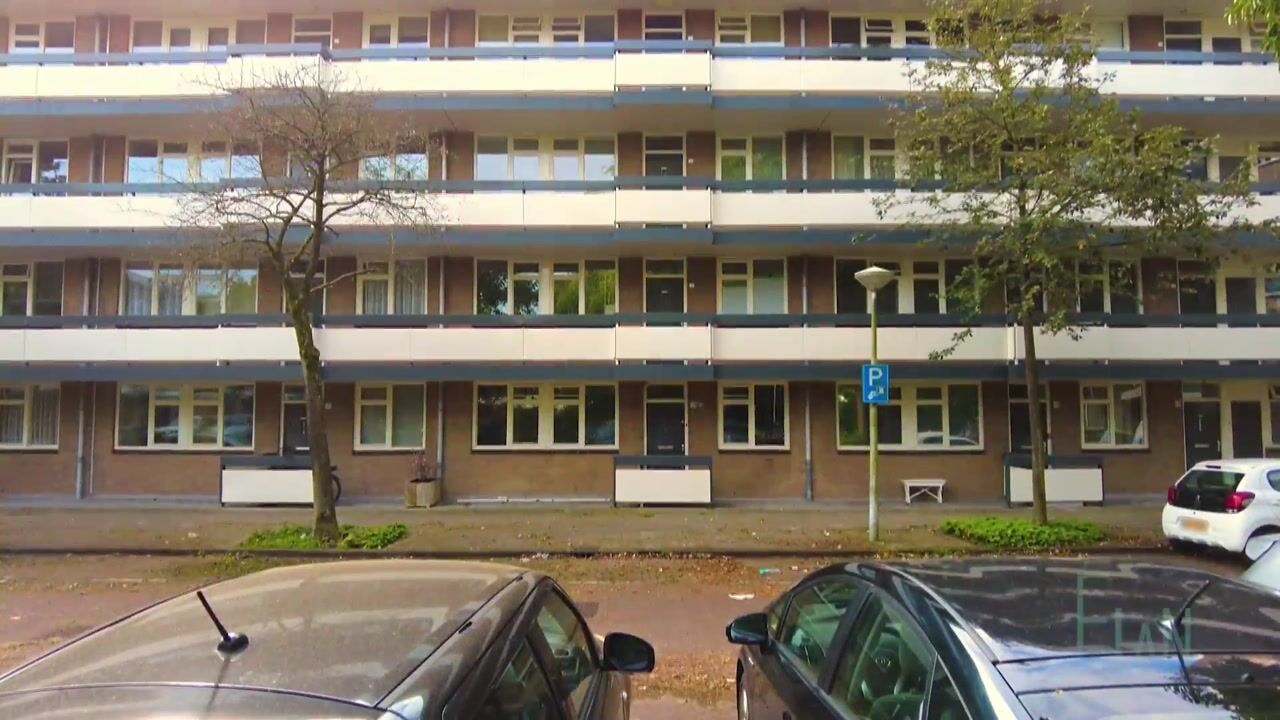 Video van Bolestein 514
