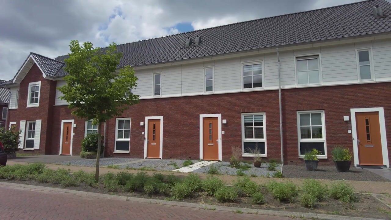 Video van Knelisroos 29