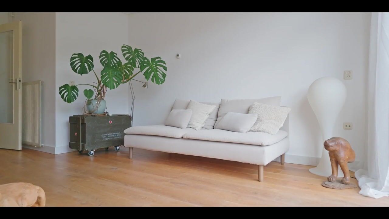 Video van Deymanstraat 38