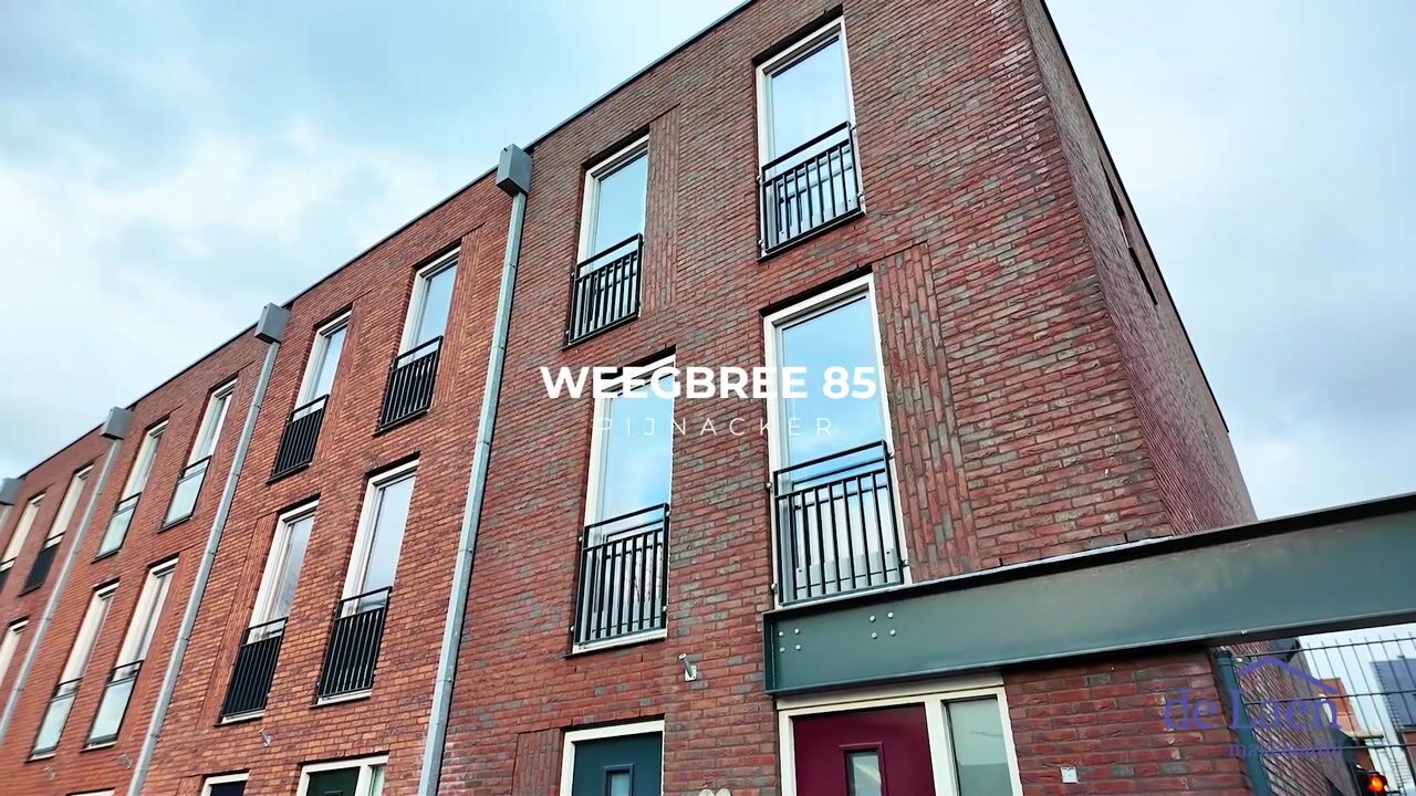 Video of Weegbree 85