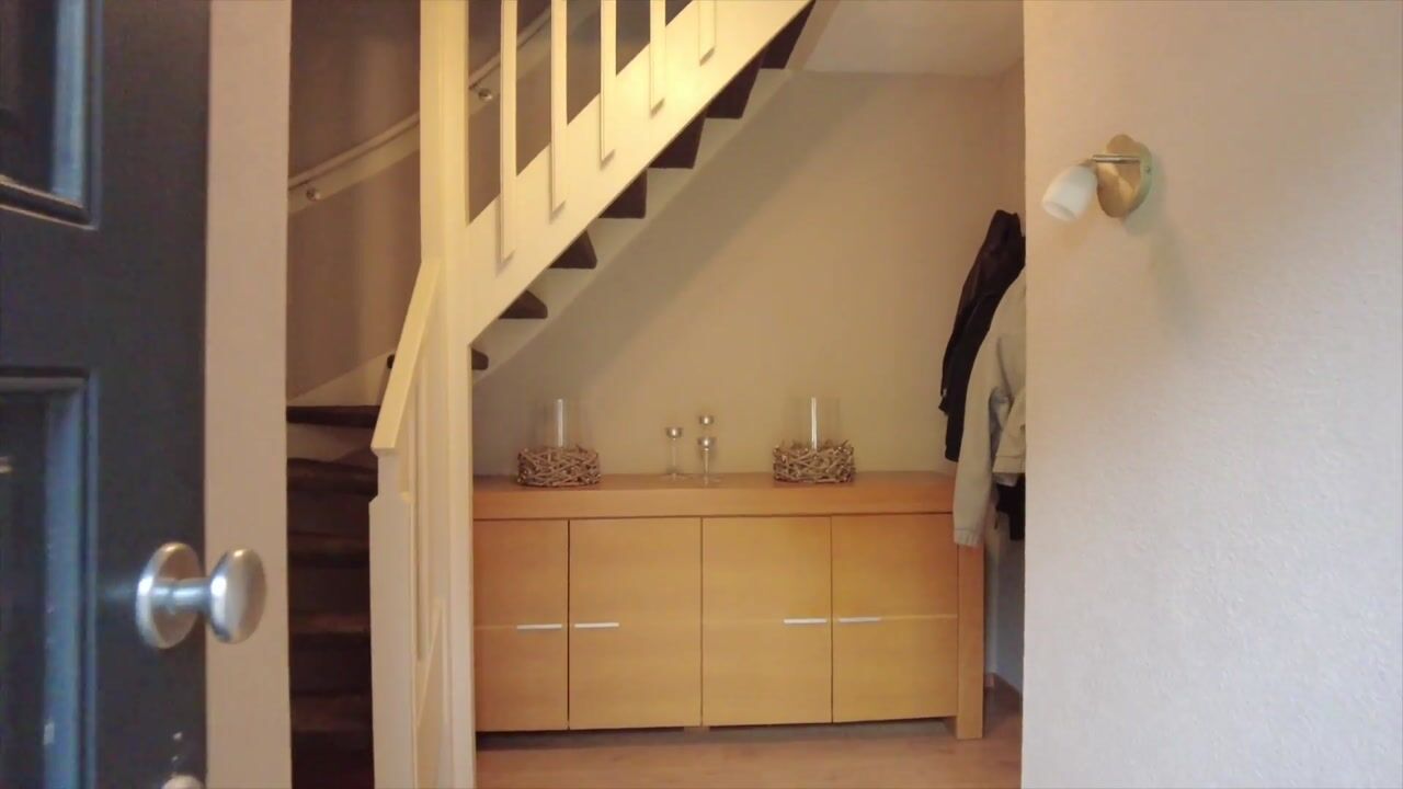 Video van Schelkens-ven 31