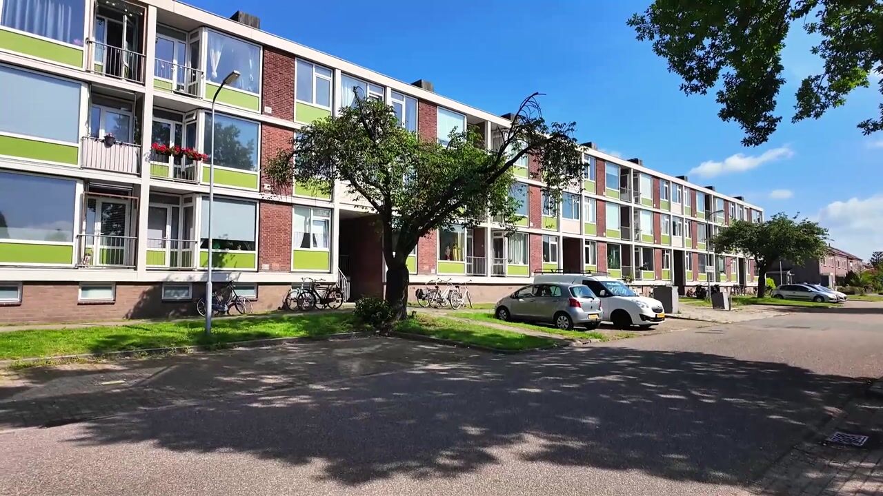Video van Ranonkellaan 66