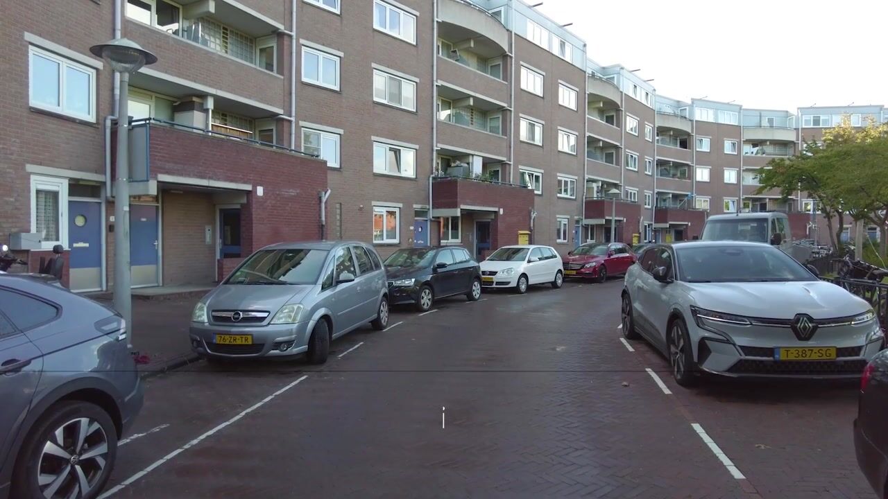 Video van Noordzijde 239