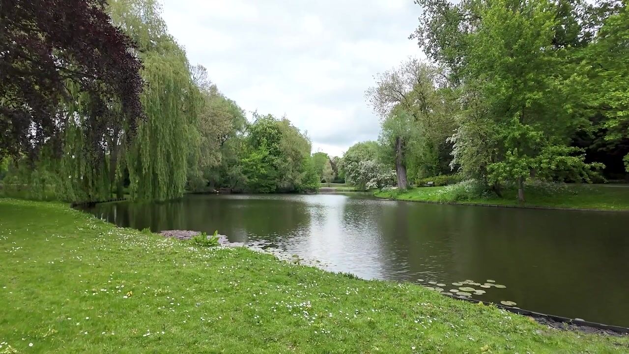 Video van Koninginnelaan 27