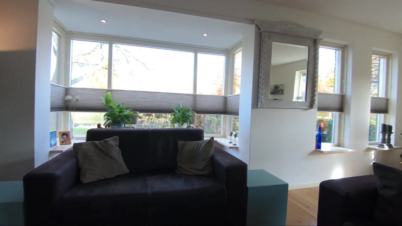 Video van Citroenvlinder 36