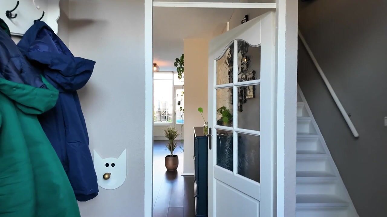 Video of Fivel 11