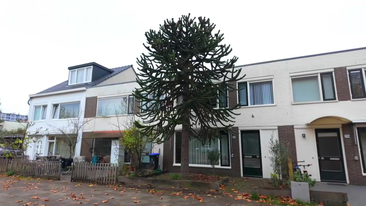 Video van Tigrisdreef 294