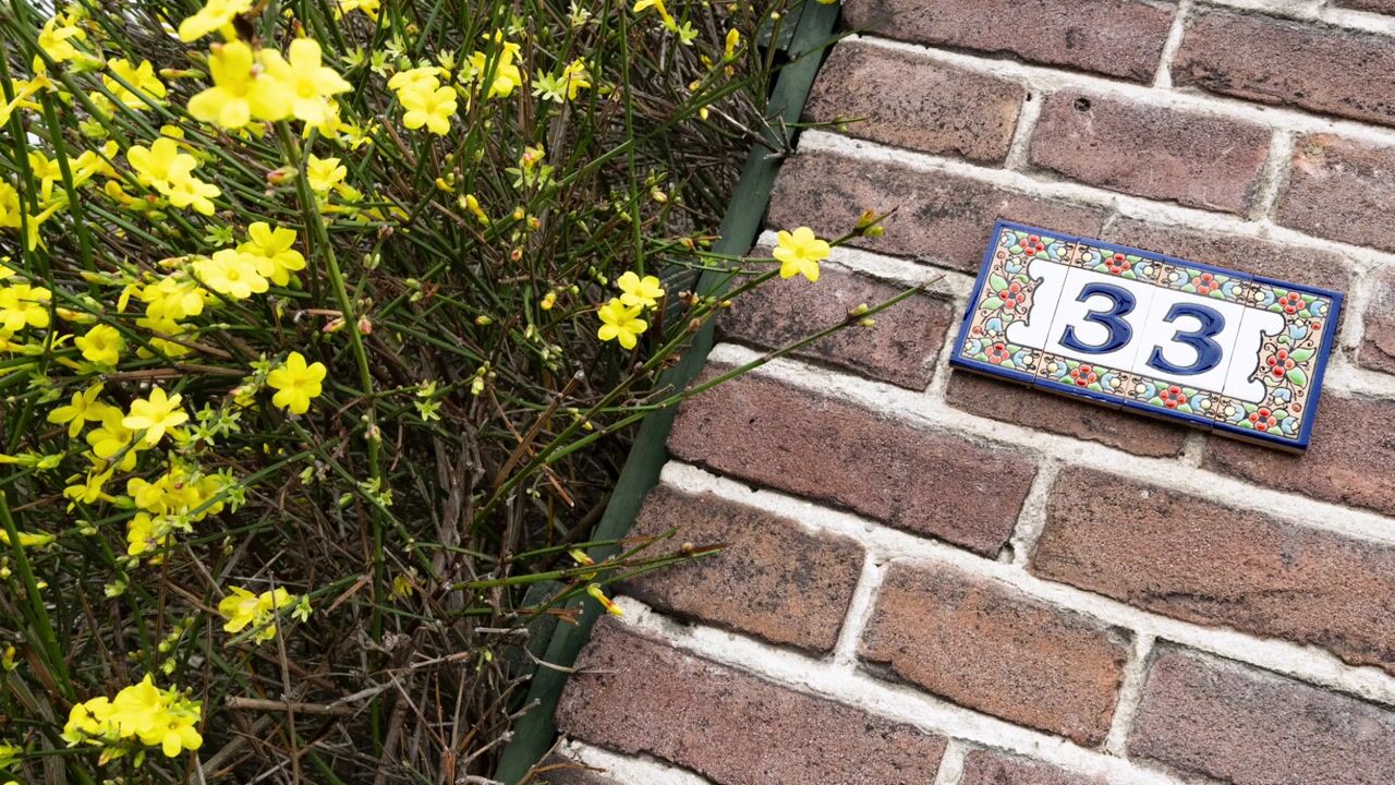 Video van Hoofdweg 33