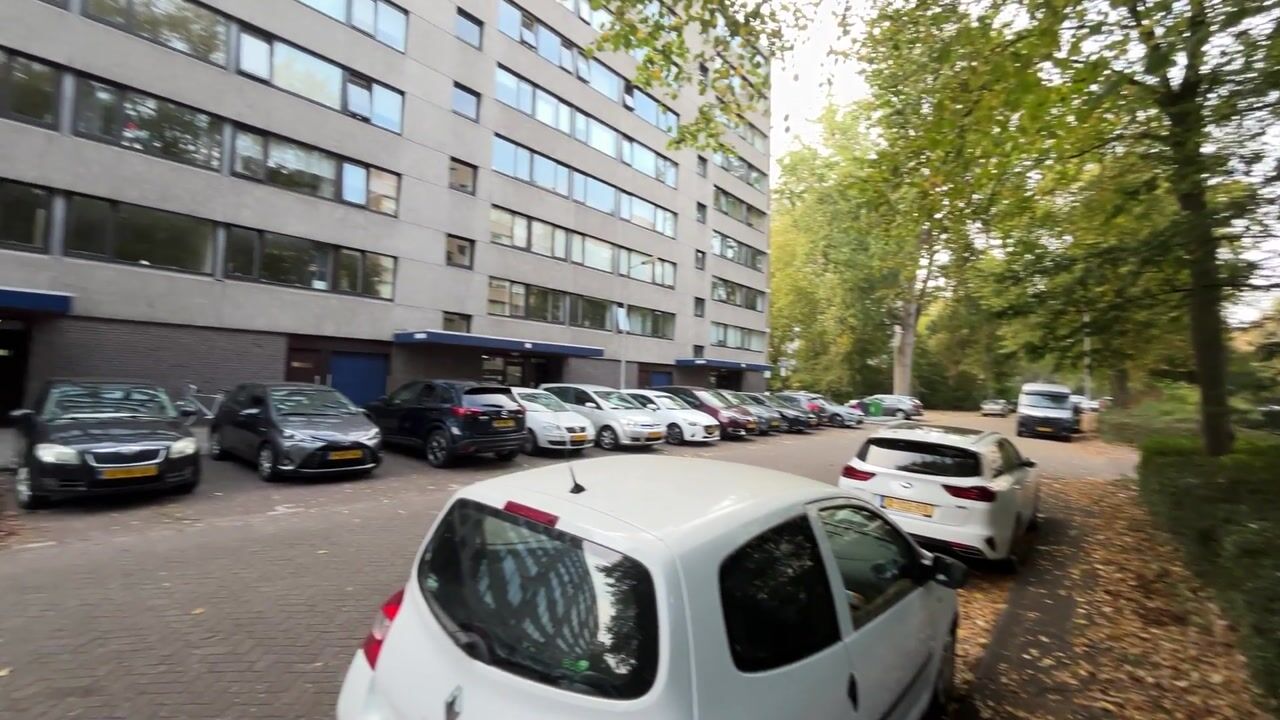 Video of Roland Holstlaan 996