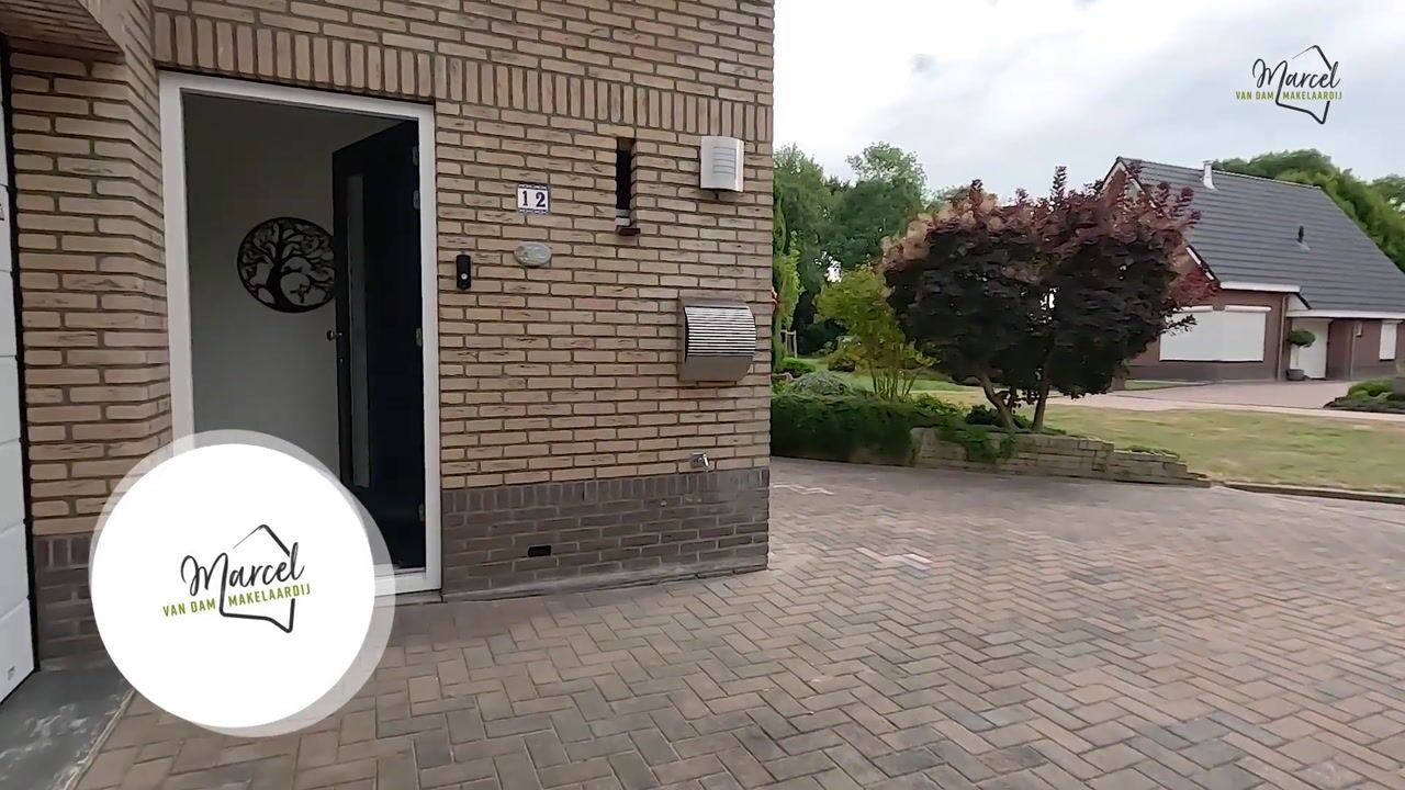 Video of Wollegras 12