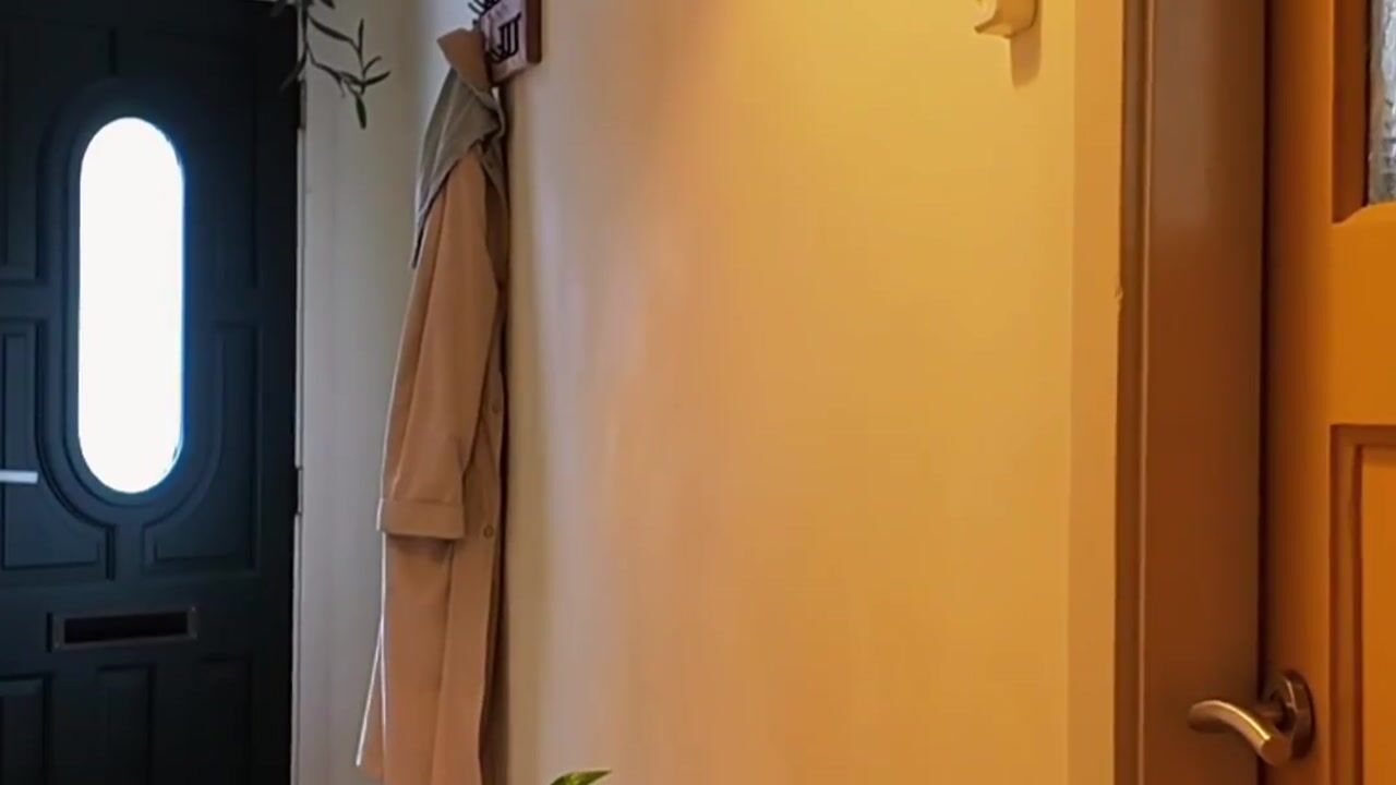 Video of Amsterdamsestraatweg 433