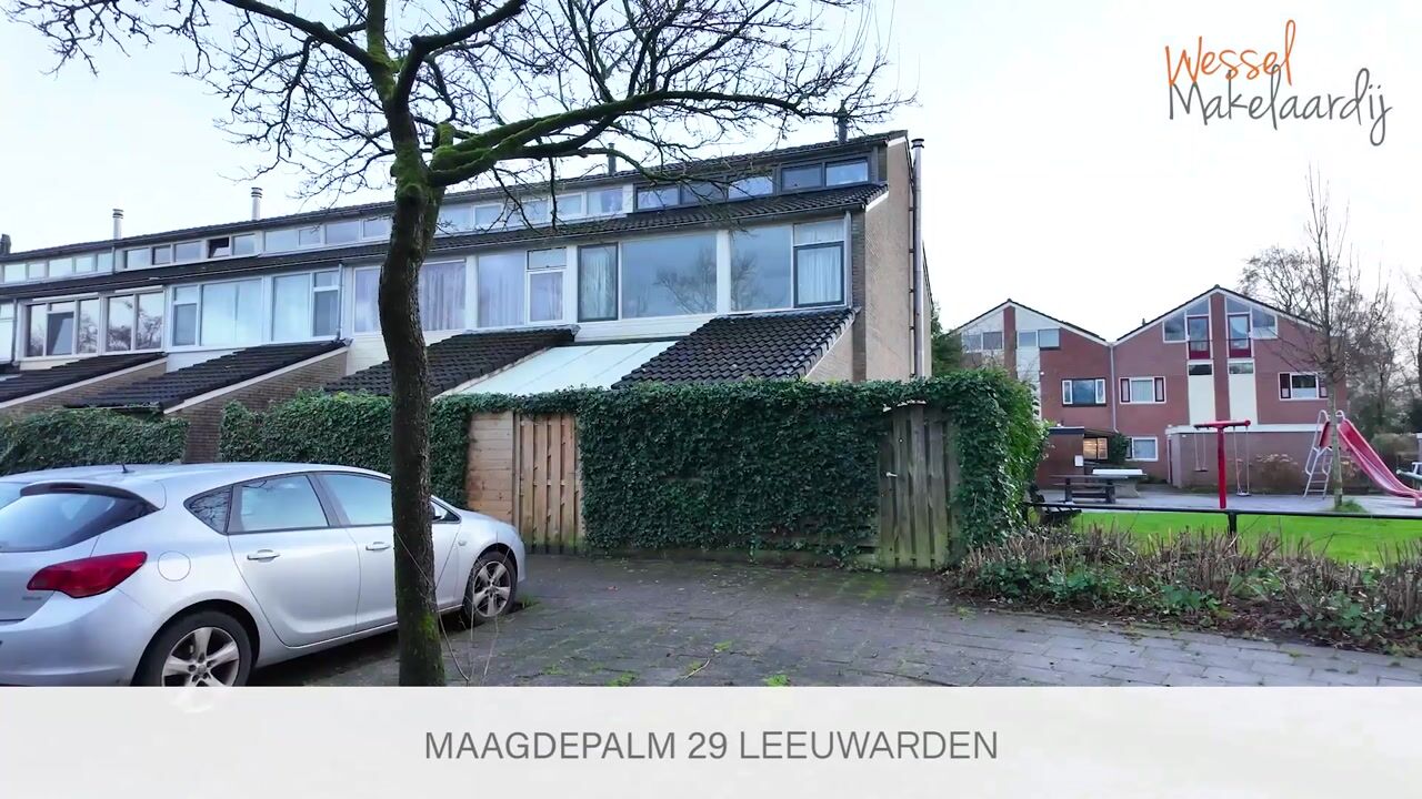 Bekijk video van Maagdepalm 29