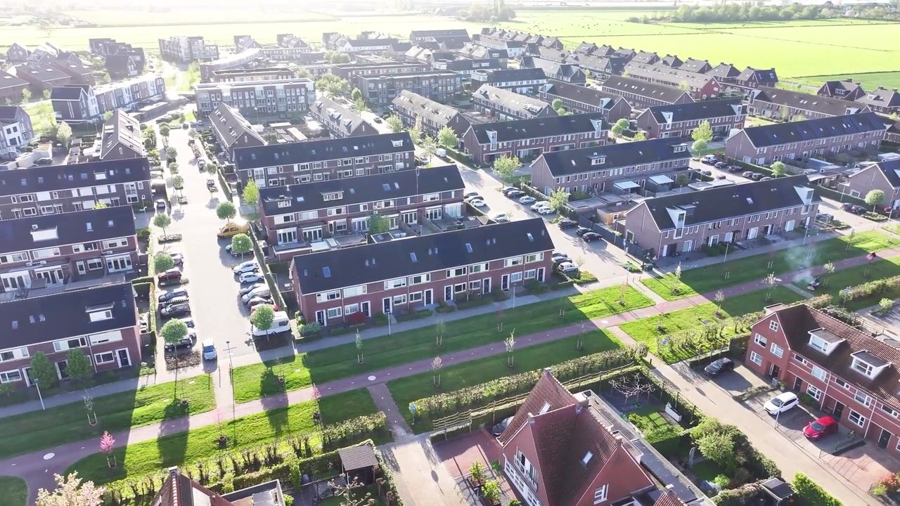 Video van Gentiaanblauwtje 9