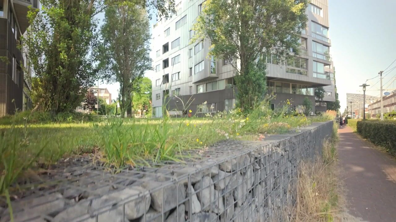 Video van Rietlandpark 97