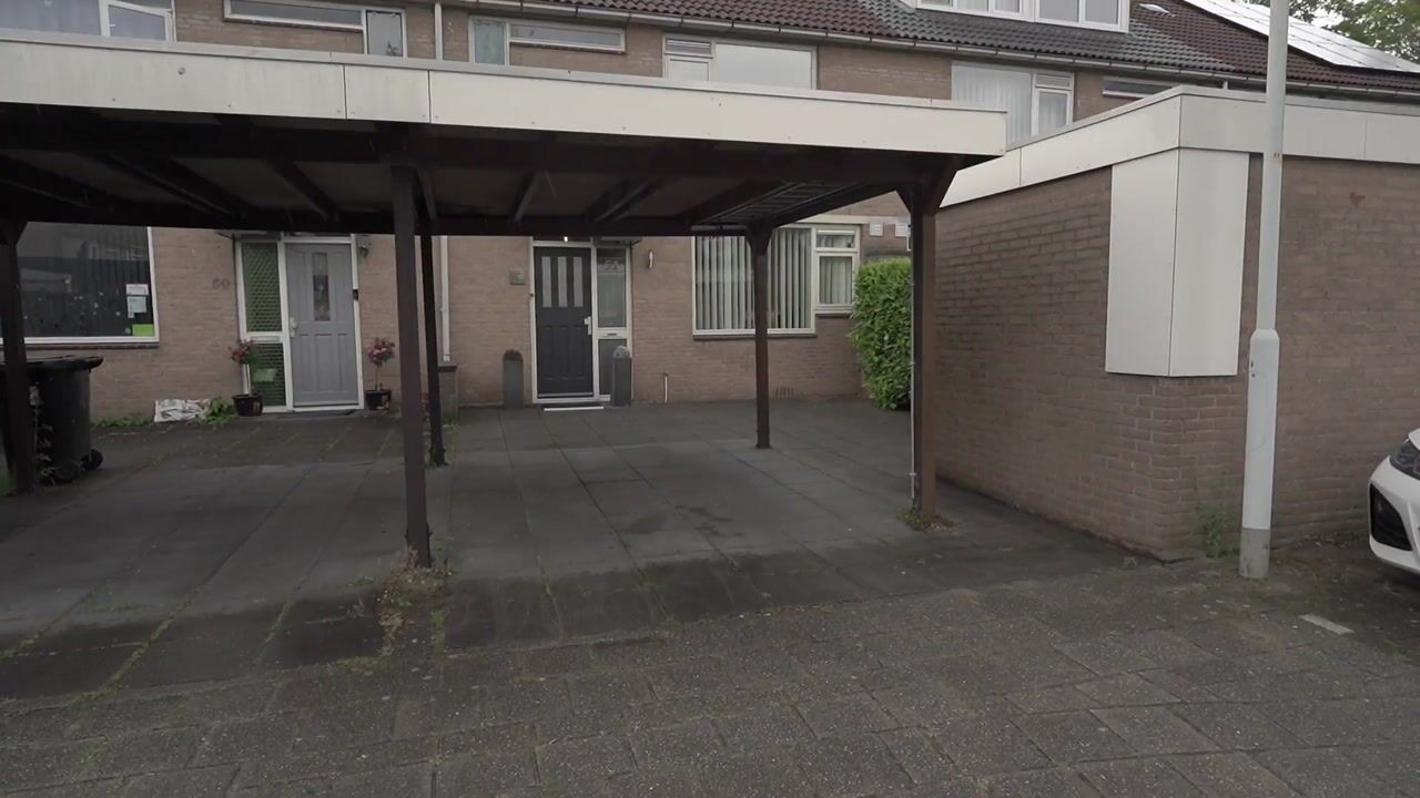 Video of Scheveningsebos 51