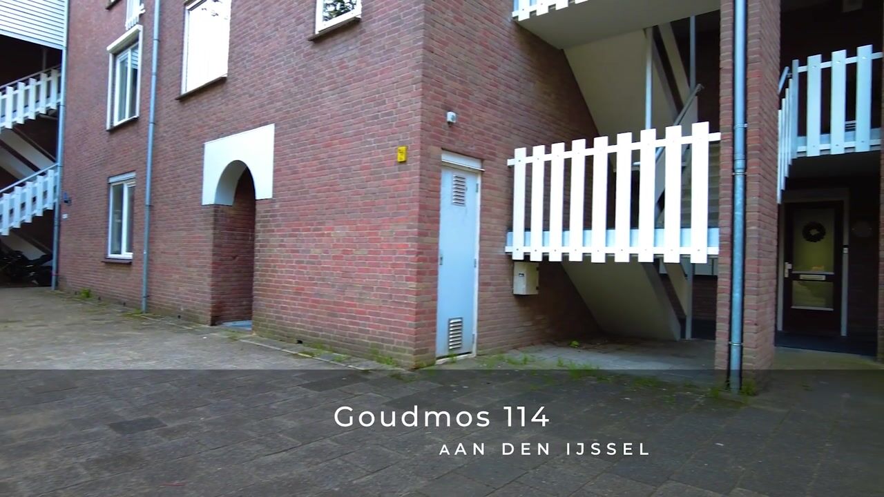 Video van Goudmos 114