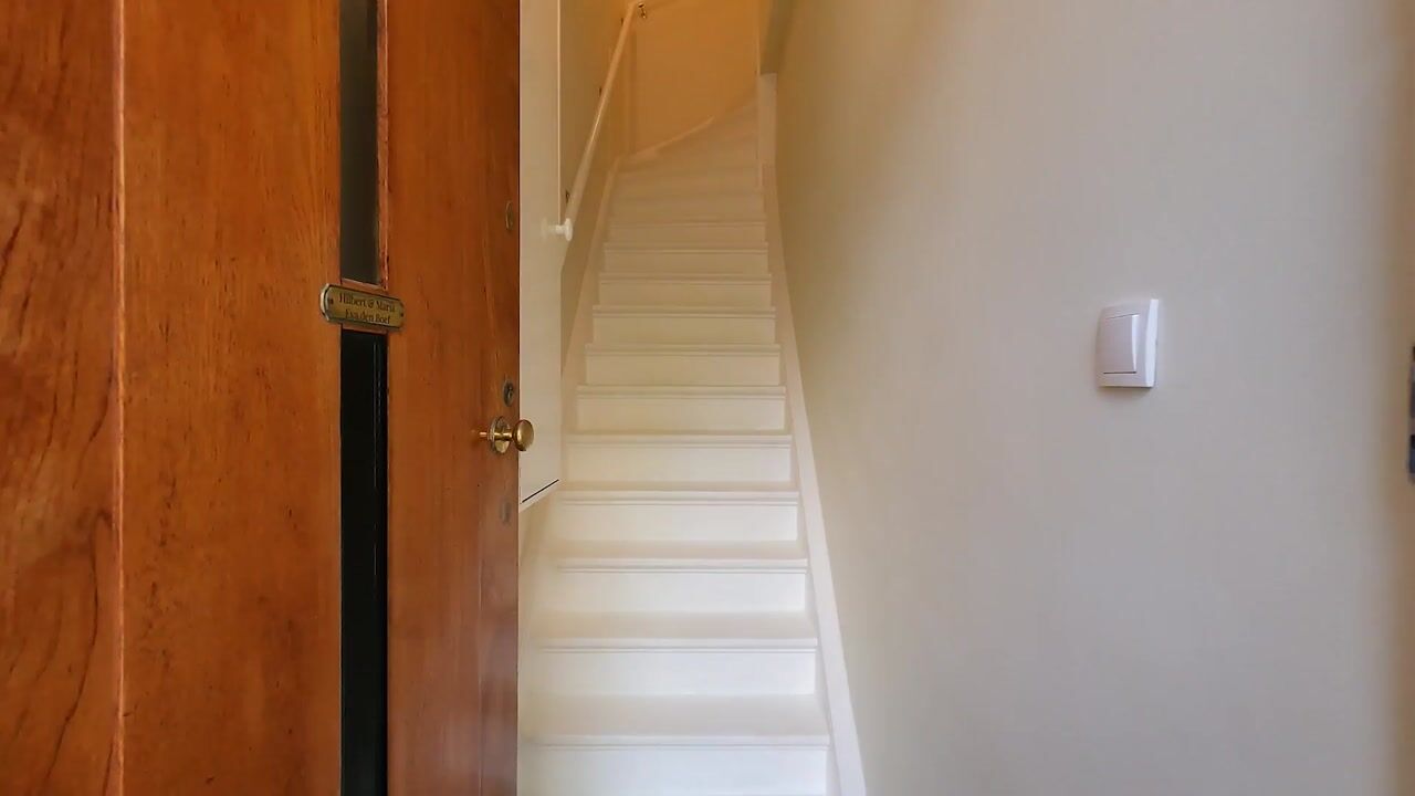 Video van 2e Louise de Colignystraat 73