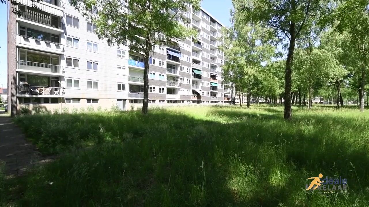 Video van Boerhaavelaan 175