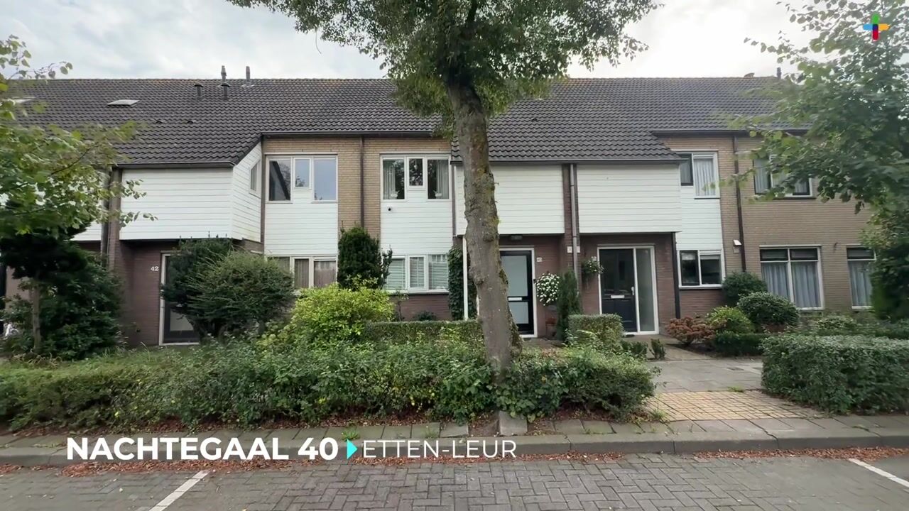 Video van Nachtegaal 40