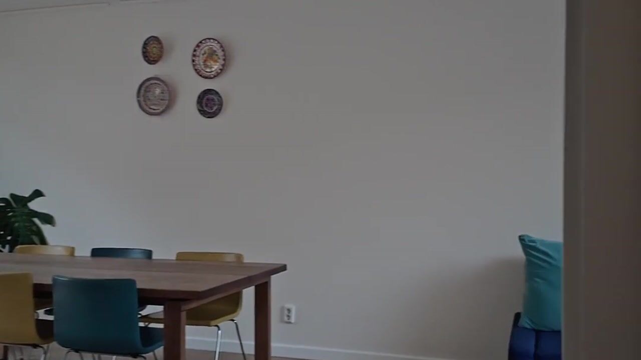 Video van Anna Pawlowastraat 4