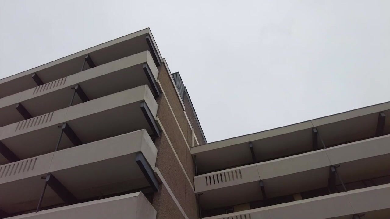 Video of Sint Hubertus 554