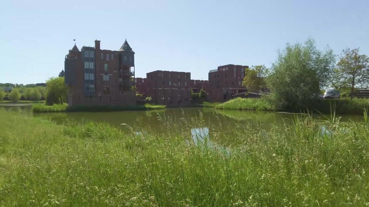 Video van Leliënhuyze 34