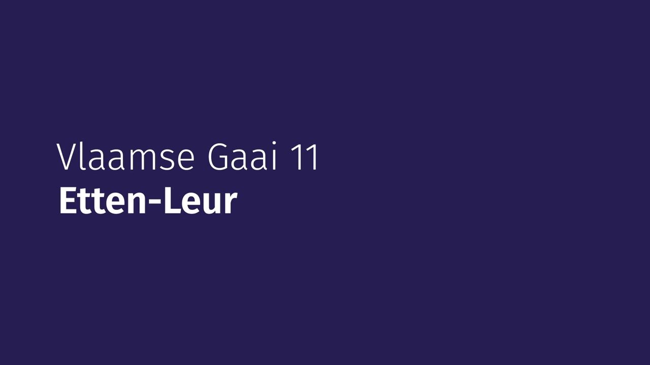Video of Vlaamse Gaai 11