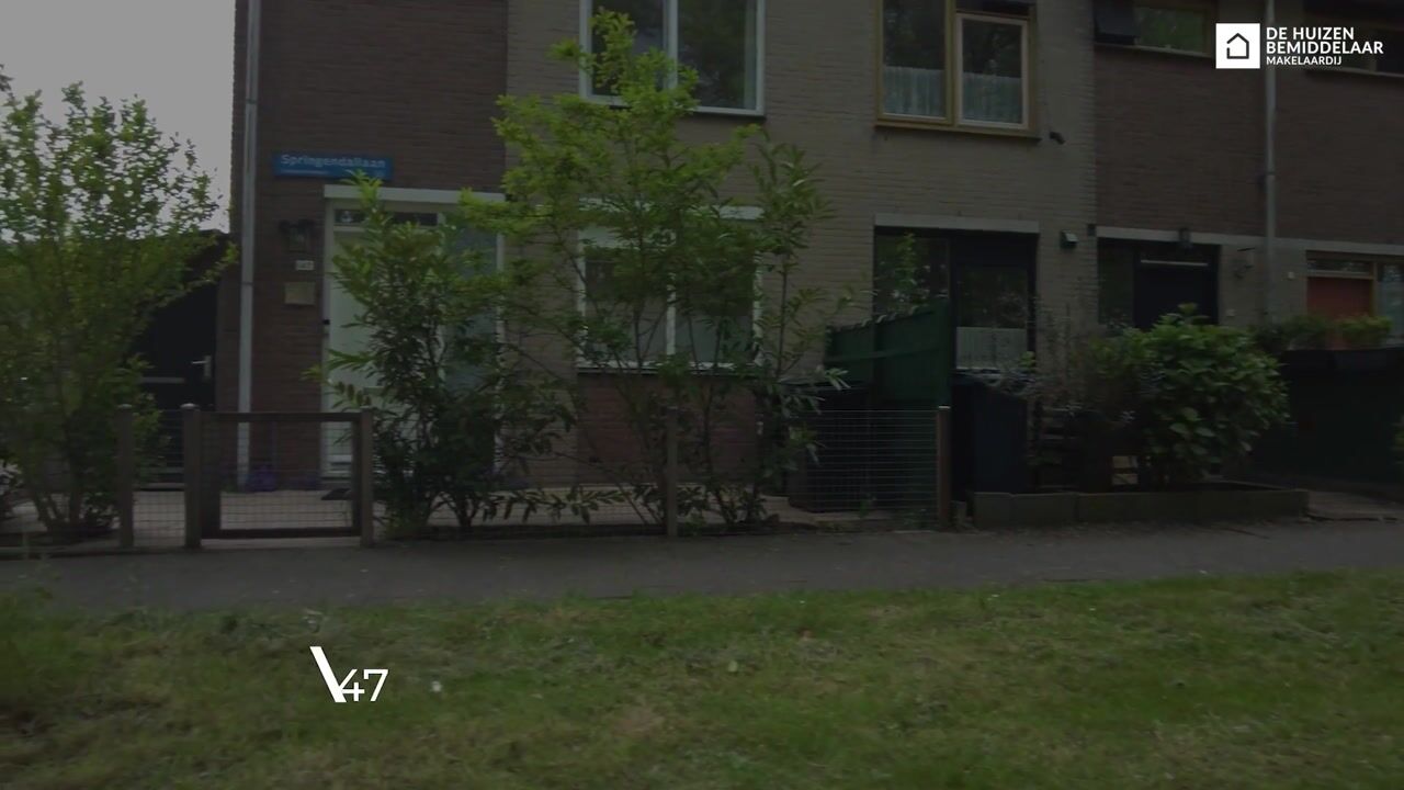 Video van Springendallaan 147